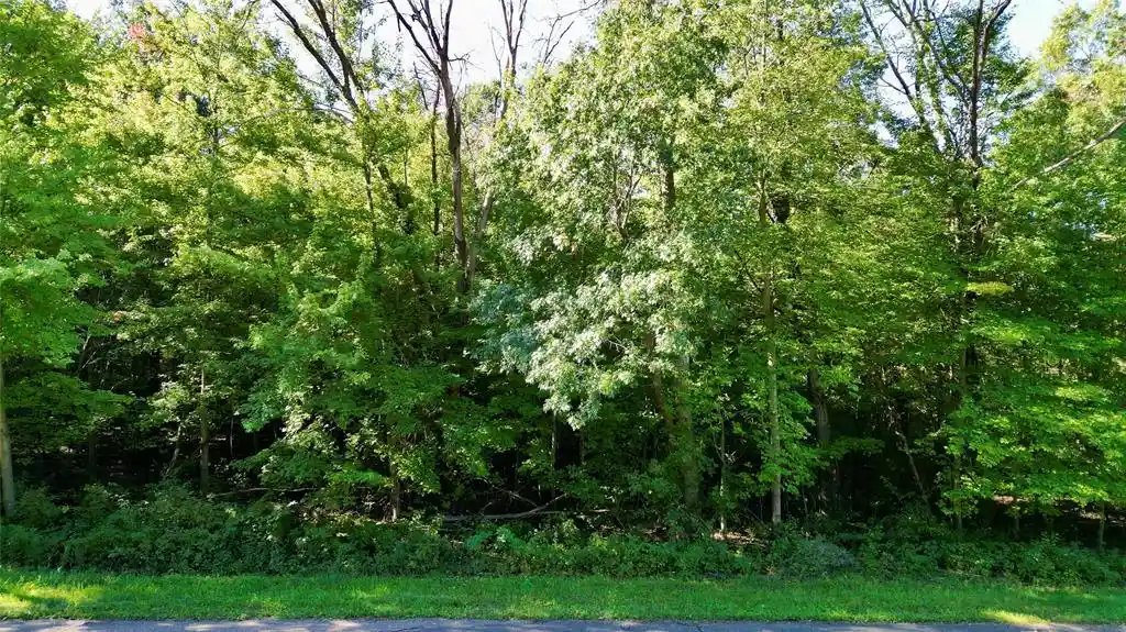 Photo 1 of Land for sale at N6497 906th Street, Elk Mound, WI 54739 | MLS# 1605558 | Listing updated on 2026-09-29