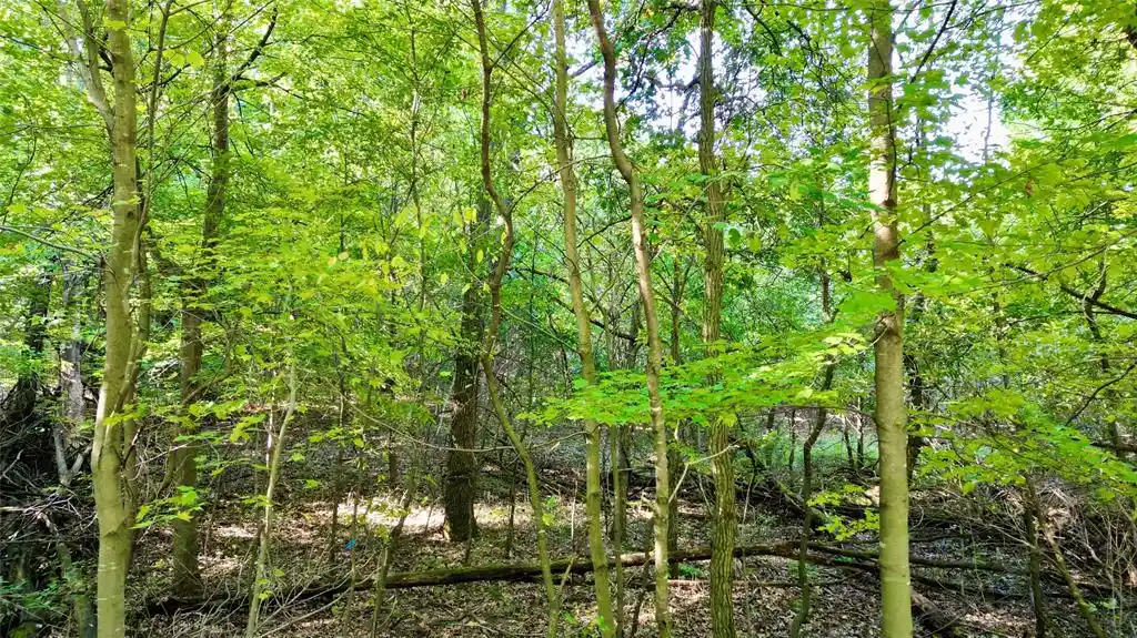 Photo 2 of Land for sale at N6497 906th Street, Elk Mound, WI 54739 | MLS# 1605558 | Listing updated on 2026-09-29