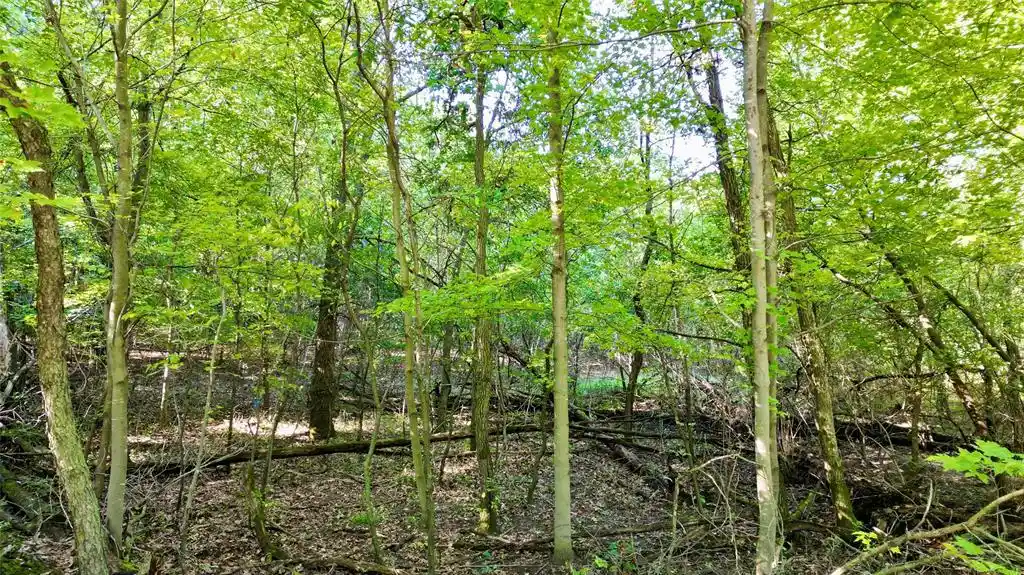 Photo 3 of Land for sale at N6497 906th Street, Elk Mound, WI 54739 | MLS# 1605558 | Listing updated on 2026-09-29
