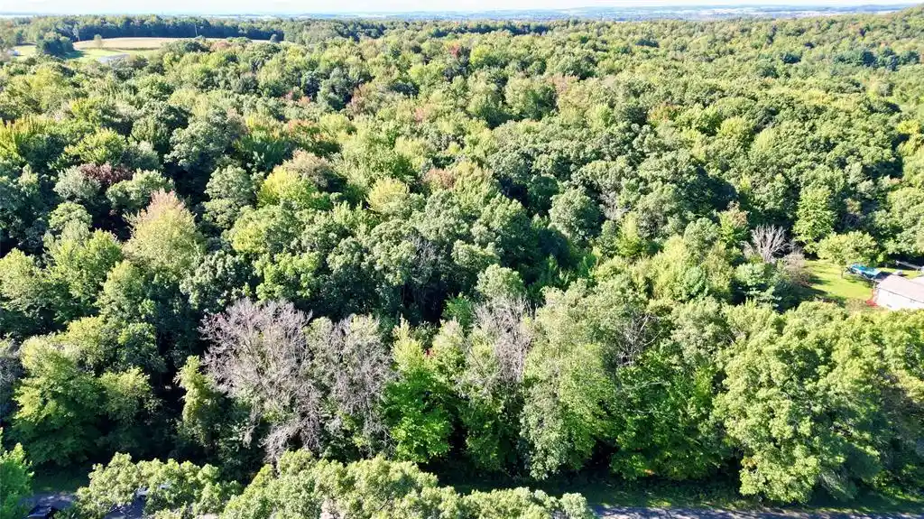 Photo 4 of Land for sale at N6497 906th Street, Elk Mound, WI 54739 | MLS# 1605558 | Listing updated on 2026-09-29