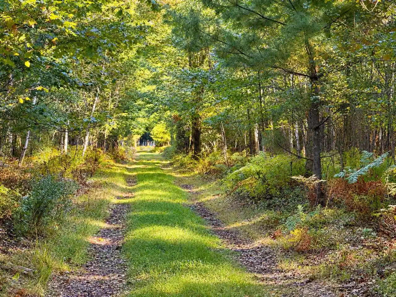 Photo 1 of Land for sale at Dura Rd, Peshtigo, WI 54157 | MLS# 50333437 | Listing updated on 2026-10-02