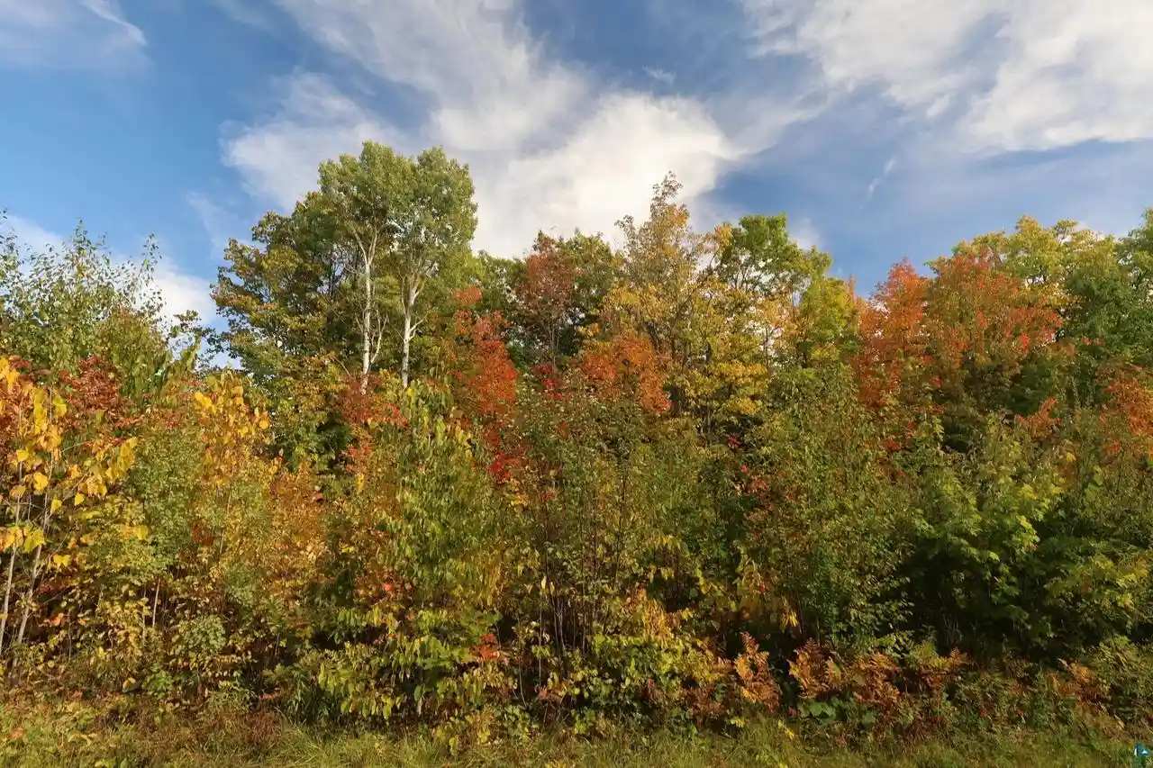 Photo 3 of Sale Pending at 91xxx-a W Old County Hwy K, Bayfield, WI 54814 | MLS# 6128215 | Listing updated on 2026-10-04