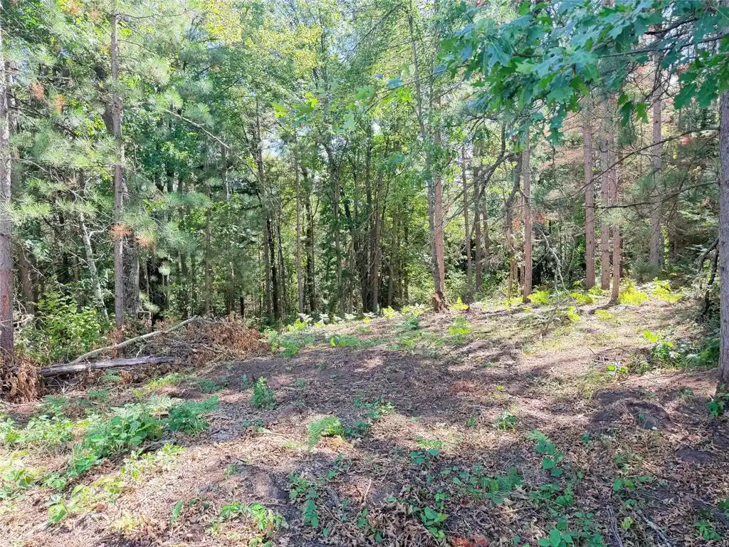 Photo 1 of Land for sale at Lot 3 Boat Landing Rd, Ladysmith, WI 54848 | MLS# 1605581 | Listing updated on 2026-09-29
