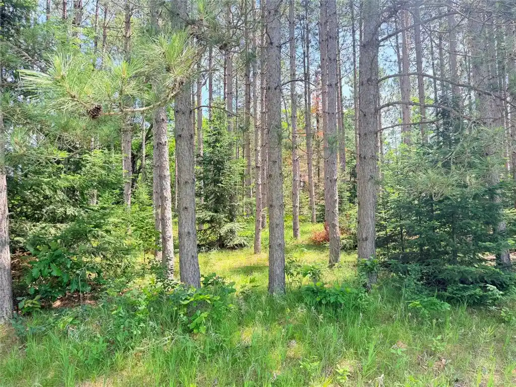 Photo 2 of Land for sale at Lot 3 Boat Landing Rd, Ladysmith, WI 54848 | MLS# 1605581 | Listing updated on 2026-09-29