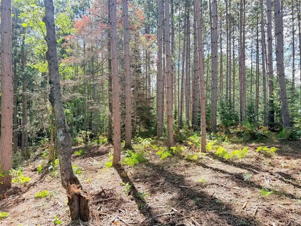 Photo 3 of Land for sale at Lot 3 Boat Landing Rd, Ladysmith, WI 54848 | MLS# 1605581 | Listing updated on 2026-09-29