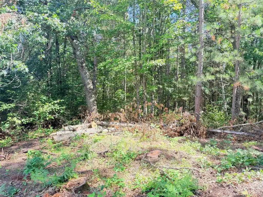 Photo 4 of Land for sale at Lot 3 Boat Landing Rd, Ladysmith, WI 54848 | MLS# 1605581 | Listing updated on 2026-09-29