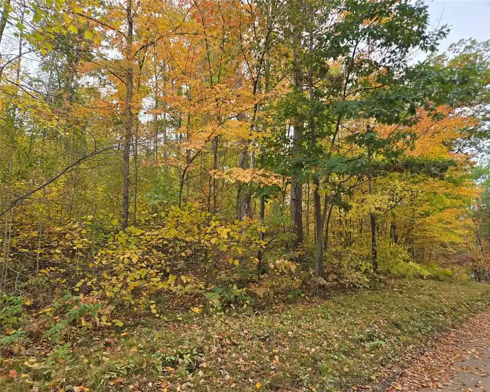 Photo 2 of Land for sale at 16119 W Henks Rd, Hayward, WI 54843 | MLS# 1605555 | Listing updated on 2026-09-29