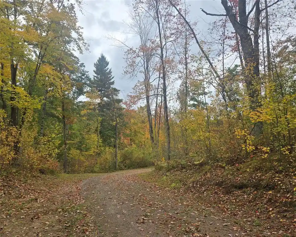 Photo 3 of Land for sale at 16119 W Henks Rd, Hayward, WI 54843 | MLS# 1605555 | Listing updated on 2026-09-29
