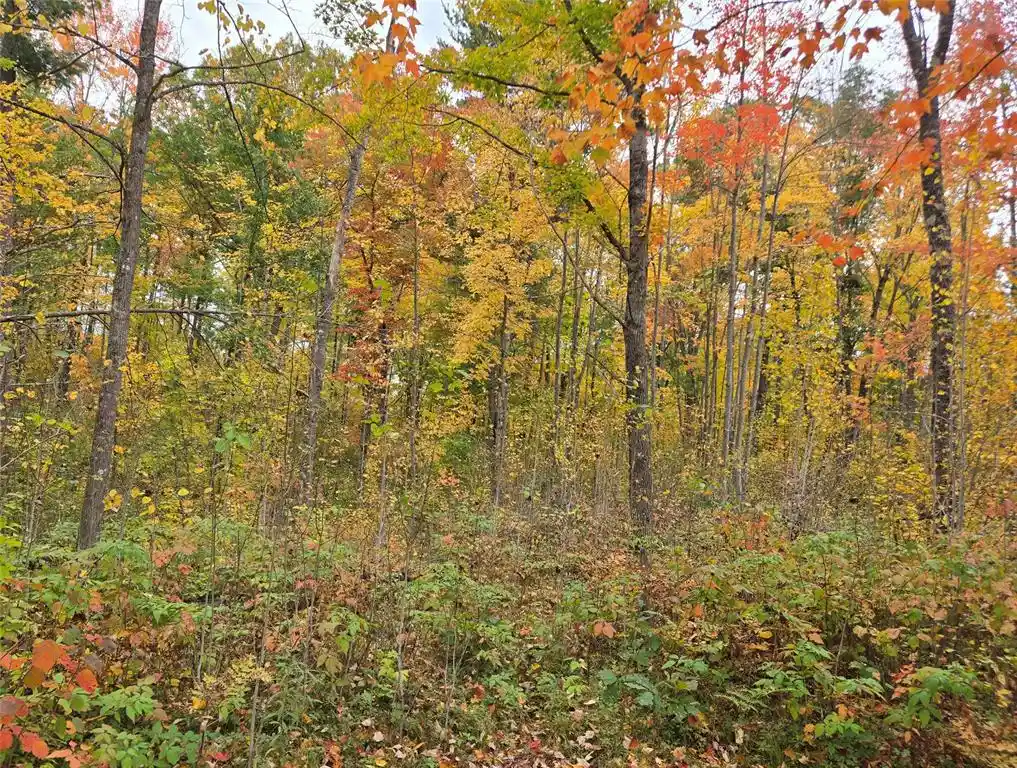 Photo 4 of Land for sale at 16119 W Henks Rd, Hayward, WI 54843 | MLS# 1605555 | Listing updated on 2026-09-29