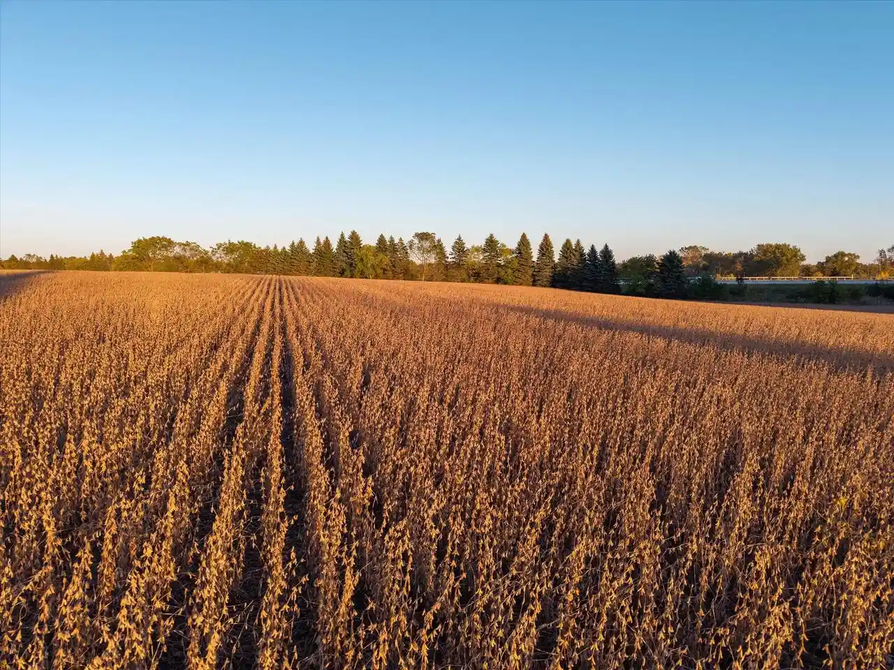 Photo 3 of Land for sale at 222 Acres County Ll Rd, Port Washington, WI 53074 | MLS# 1982608 | Listing updated on 2026-10-06