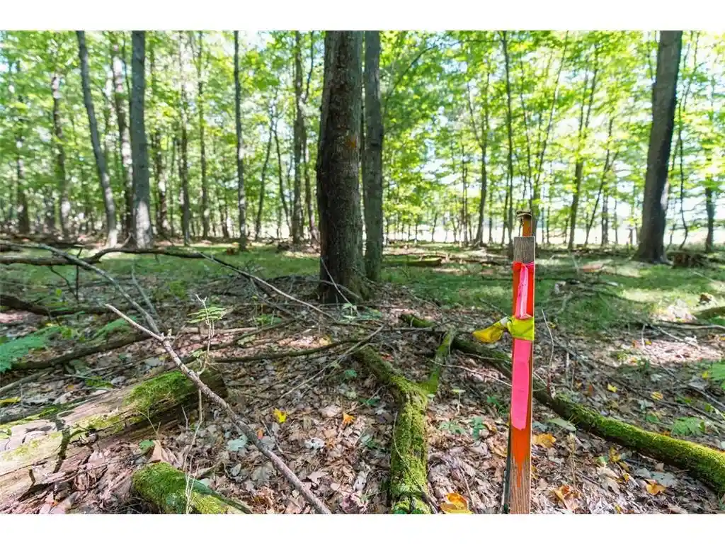 Photo 1 of Land for sale at Lot5 815 Avenue, Menomonie, WI 54751 | MLS# 7152397 | Listing updated on 2026-09-29