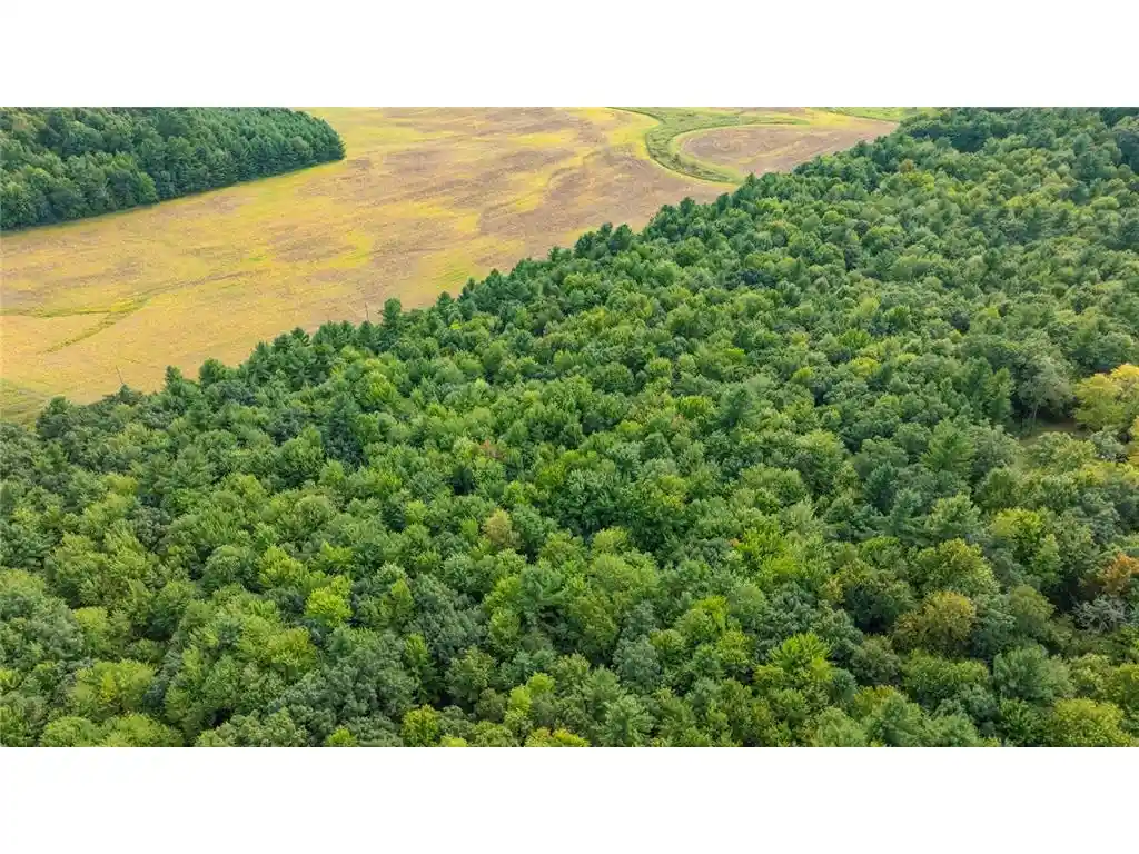 Photo 2 of Land for sale at Lot5 815 Avenue, Menomonie, WI 54751 | MLS# 7152397 | Listing updated on 2026-09-29