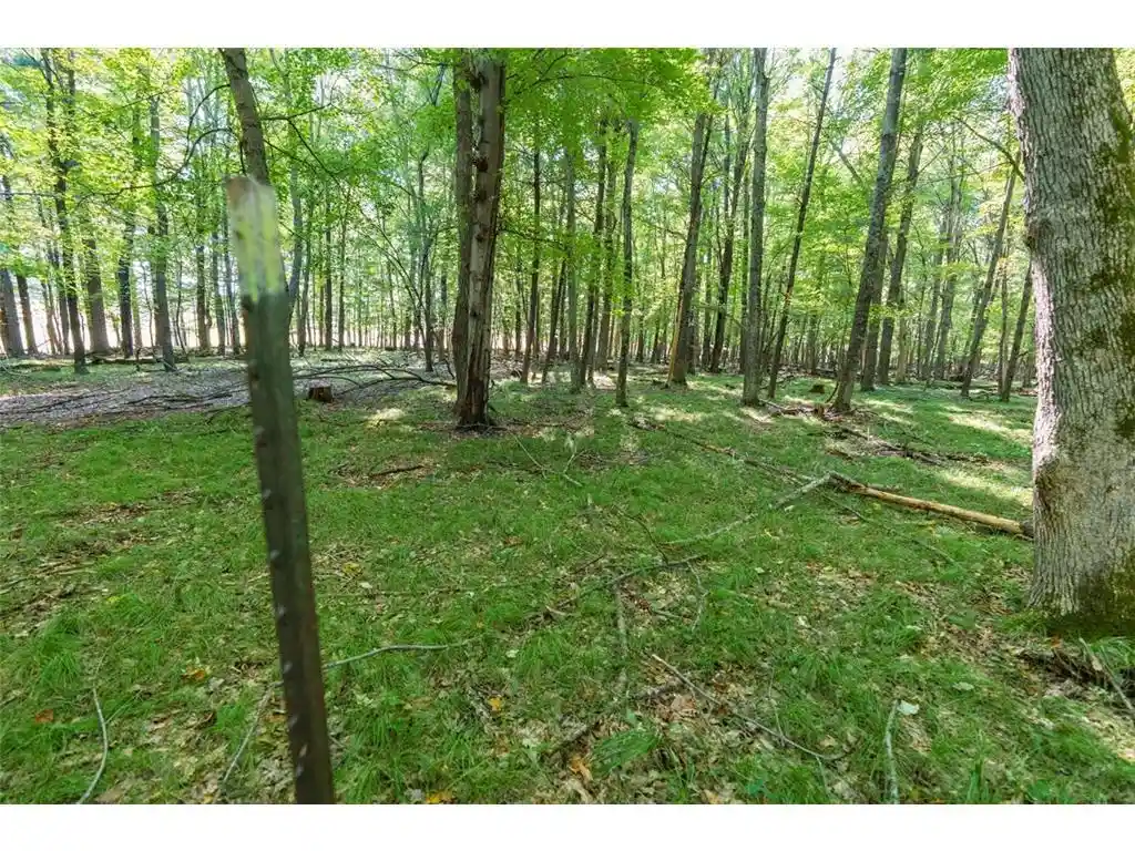 Photo 3 of Land for sale at Lot5 815 Avenue, Menomonie, WI 54751 | MLS# 7152397 | Listing updated on 2026-09-29