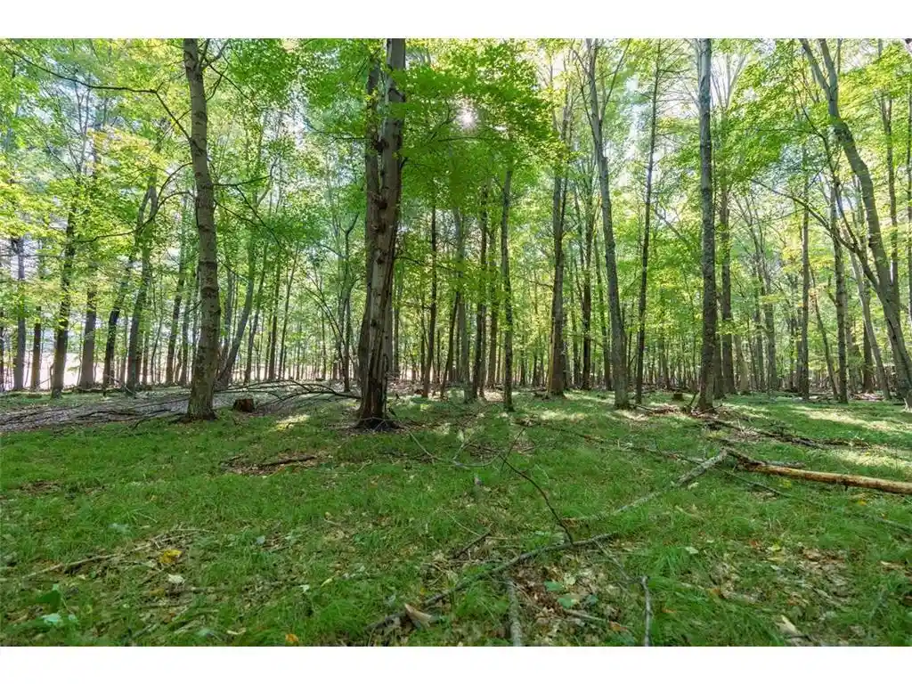 Photo 4 of Land for sale at Lot5 815 Avenue, Menomonie, WI 54751 | MLS# 7152397 | Listing updated on 2026-09-29