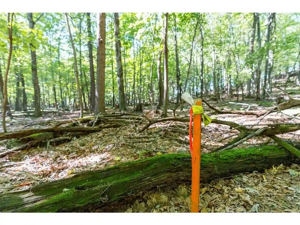Photo 2 of Land for sale at Lot3 815th Avenue, Menomonie, WI 54751 | MLS# 7152378 | Listing updated on 2026-09-29
