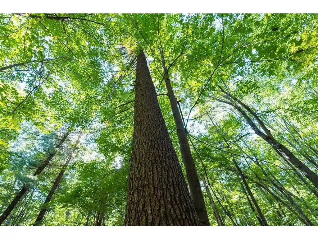 Photo 4 of Land for sale at Lot3 815th Avenue, Menomonie, WI 54751 | MLS# 7152378 | Listing updated on 2026-09-29