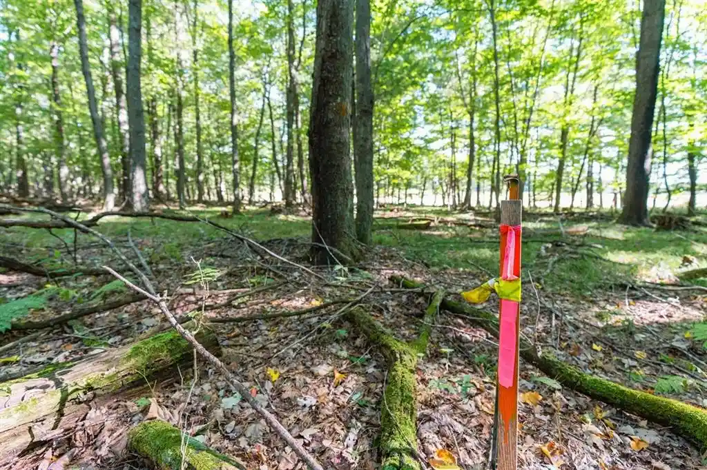 Photo 1 of Land for sale at Lot5 815th Avenue, Menomonie, WI 54751 | MLS# 1605599 | Listing updated on 2026-09-29