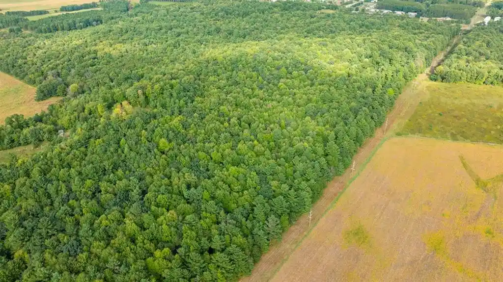 Photo 3 of Land for sale at Lot5 815th Avenue, Menomonie, WI 54751 | MLS# 1605599 | Listing updated on 2026-09-29