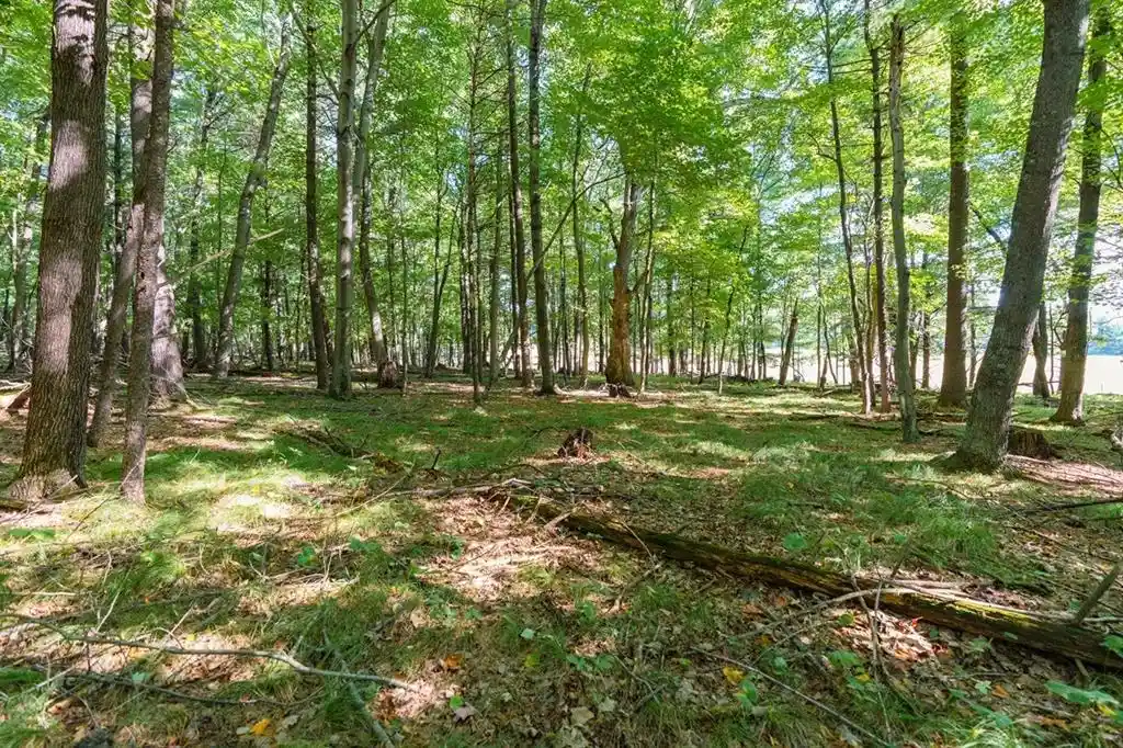 Land for sale at Lot5 815th Avenue, Menomonie, WI 54751 | MLS# 1605599 | Listing updated on 2026-09-29