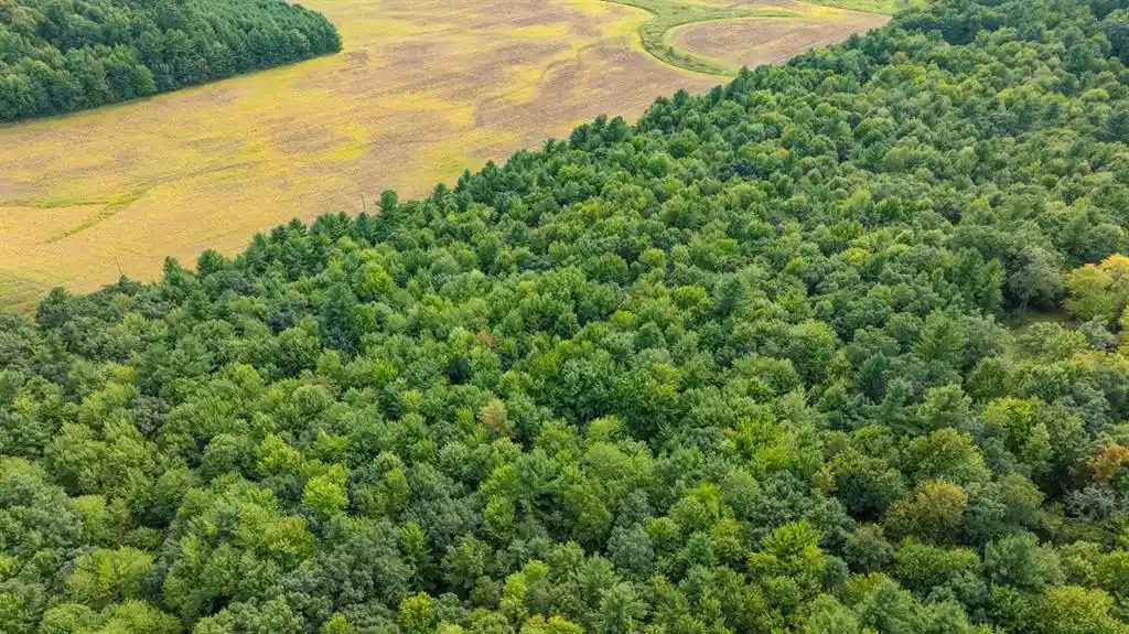 Photo 2 of Land for sale at Tbd21 815th Avenue, Menomonie, WI 54751 | MLS# 1605596 | Listing updated on 2026-09-30