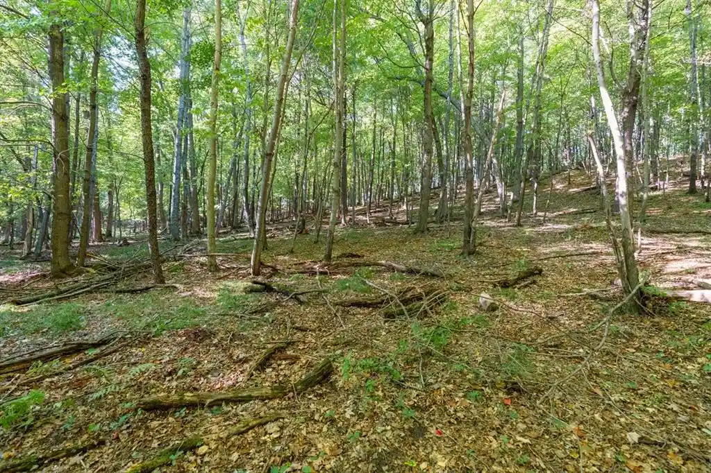 Photo 3 of Land for sale at Tbd21 815th Avenue, Menomonie, WI 54751 | MLS# 1605596 | Listing updated on 2026-09-30