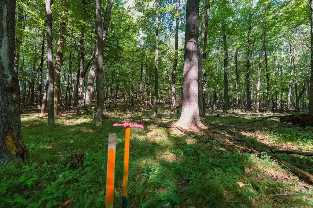 Photo 1 of Land for sale at Lot3 815th Avenue, Menomonie, WI 54715 | MLS# 1605597 | Listing updated on 2026-09-29
