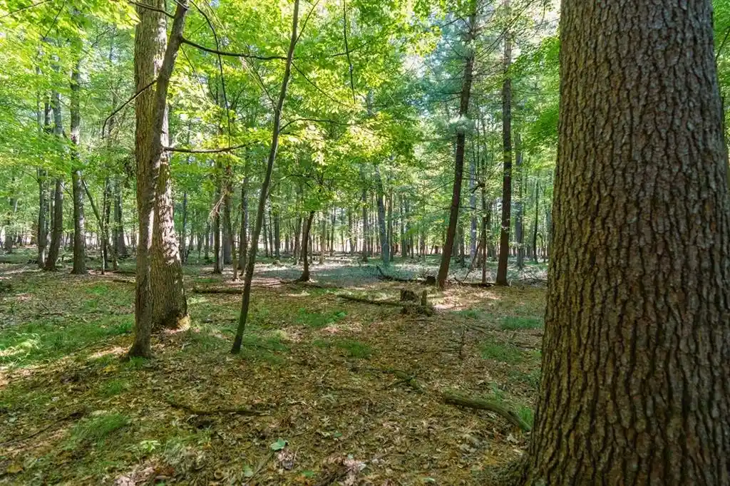 Land for sale at Lot3 815th Avenue, Menomonie, WI 54715 | MLS# 1605597 | Listing updated on 2026-09-29