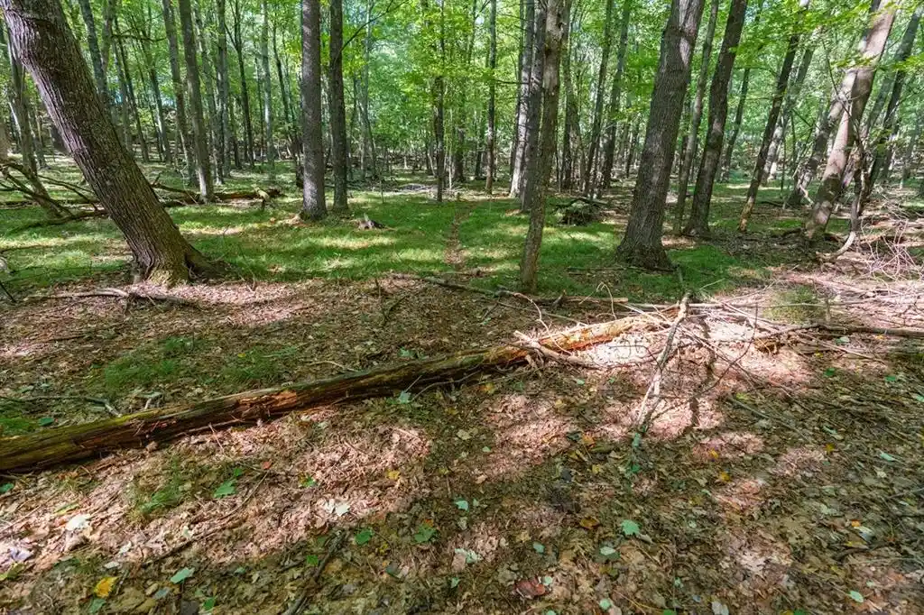 Photo 2 of Land for sale at Lot6 815th Avenue, Menomonie, WI 54751 | MLS# 1605600 | Listing updated on 2026-09-29