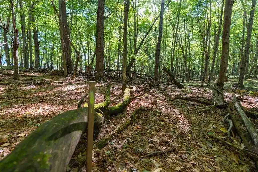 Land for sale at Lot6 815th Avenue, Menomonie, WI 54751 | MLS# 1605600 | Listing updated on 2026-09-29