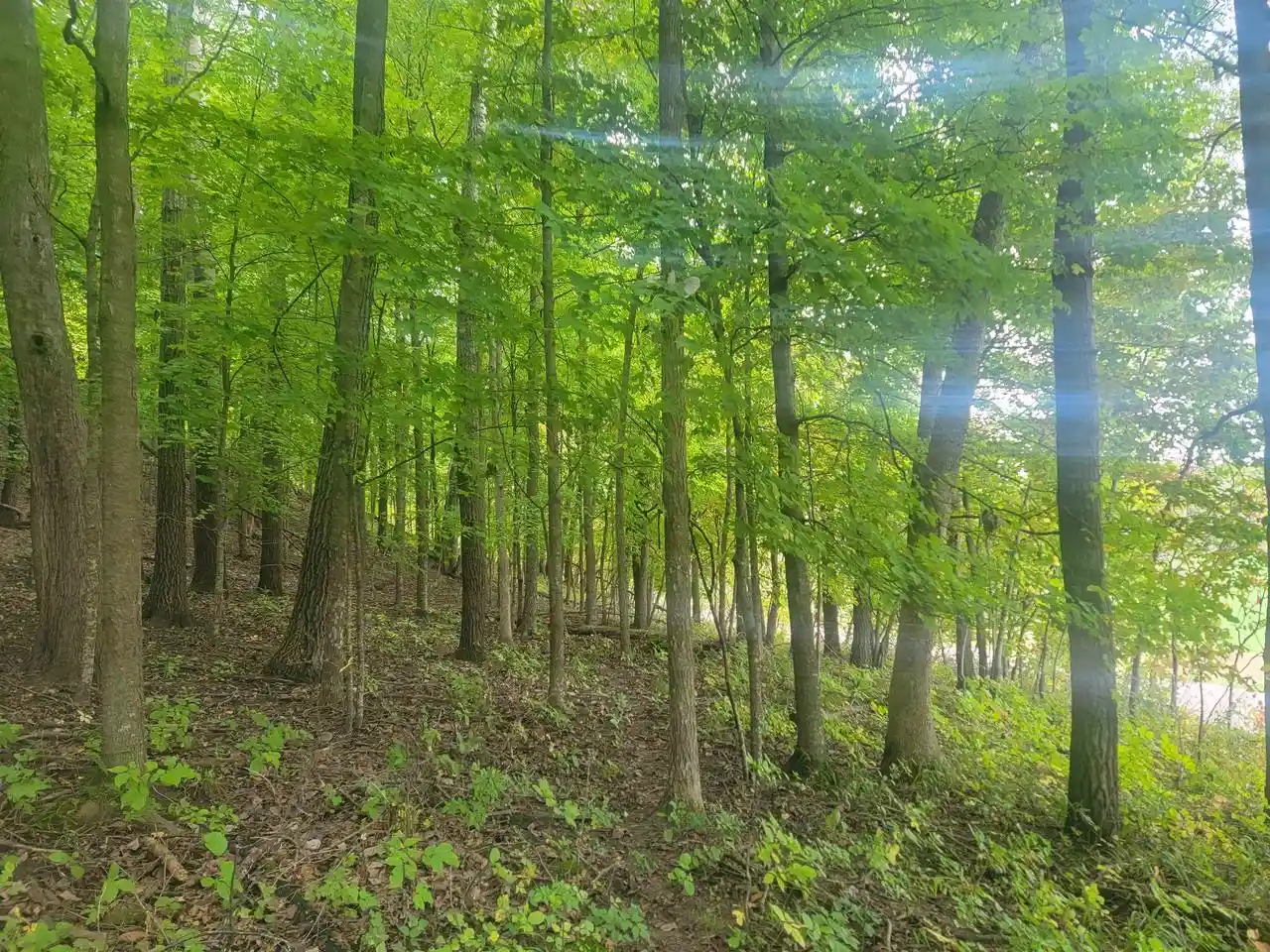 Photo 3 of Sale Pending at 0000 German Valley Rd, Hillsboro, WI 54634 | MLS# 2033726 | Listing updated on 2026-10-05