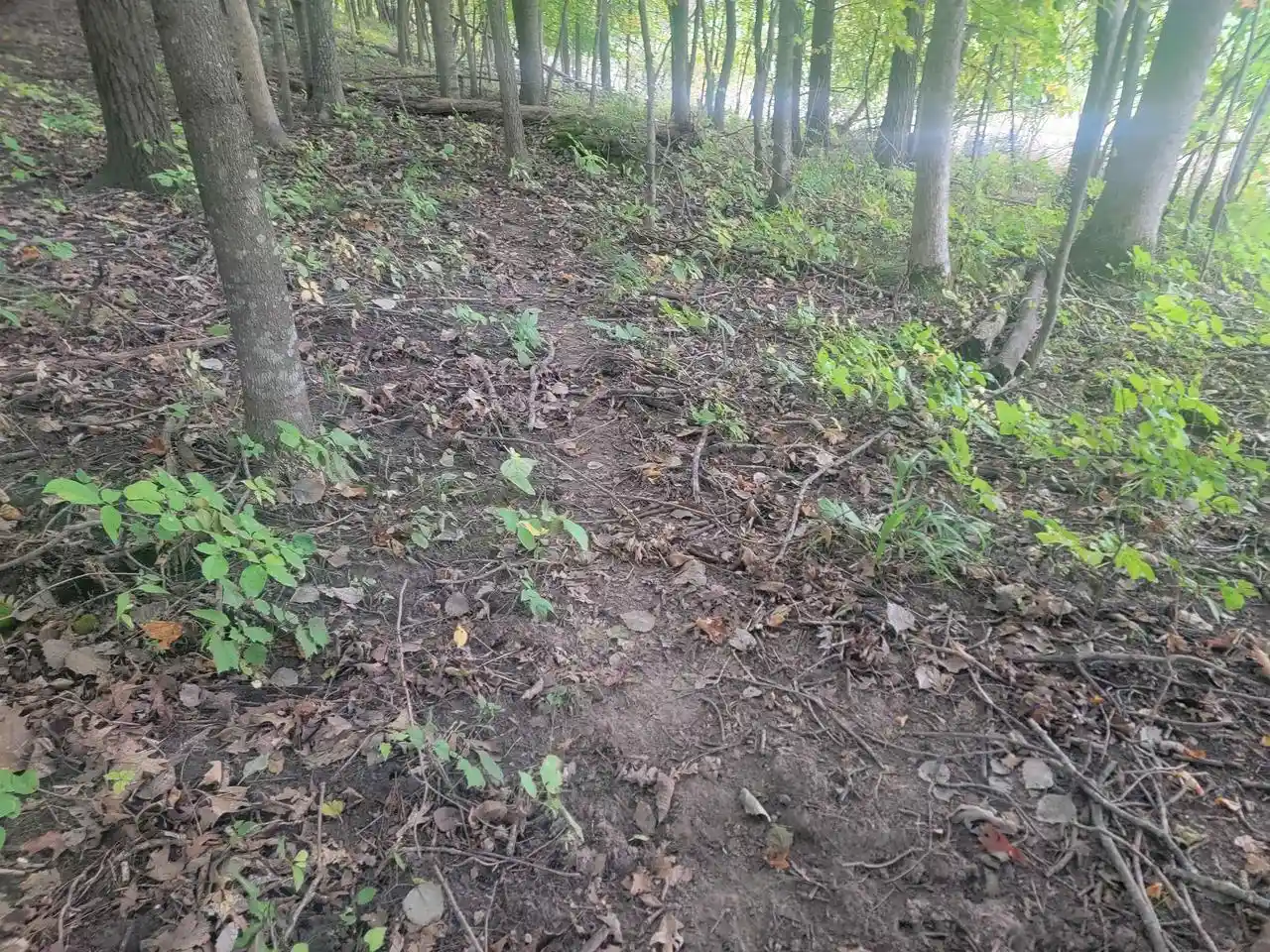 Photo 4 of Sale Pending at 0000 German Valley Rd, Hillsboro, WI 54634 | MLS# 2033726 | Listing updated on 2026-10-05
