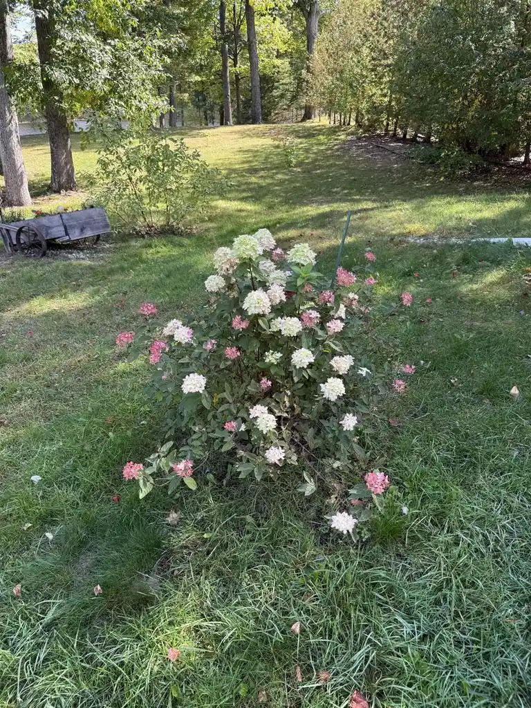 Photo 3 of Single family home for sale at N6144 State Hwy 180, Marinette, WI 54143 | MLS# 50333494 | Listing updated on 2026-10-06