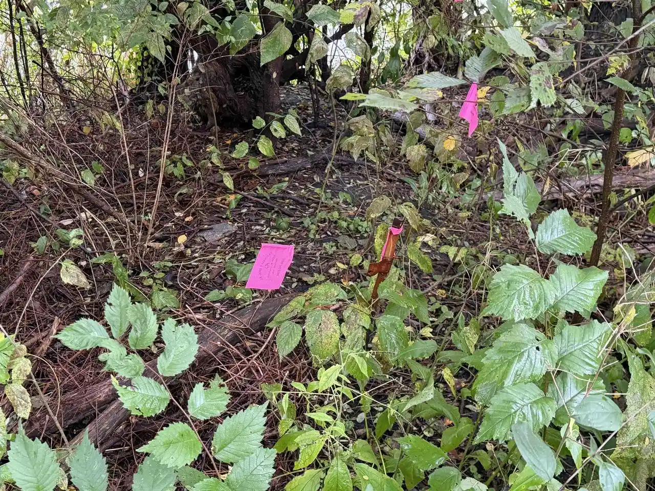 Photo 3 of Land for sale at Lot E 1 Edgewater St, Portage, WI 53901 | MLS# 2033749 | Listing updated on 2026-10-02