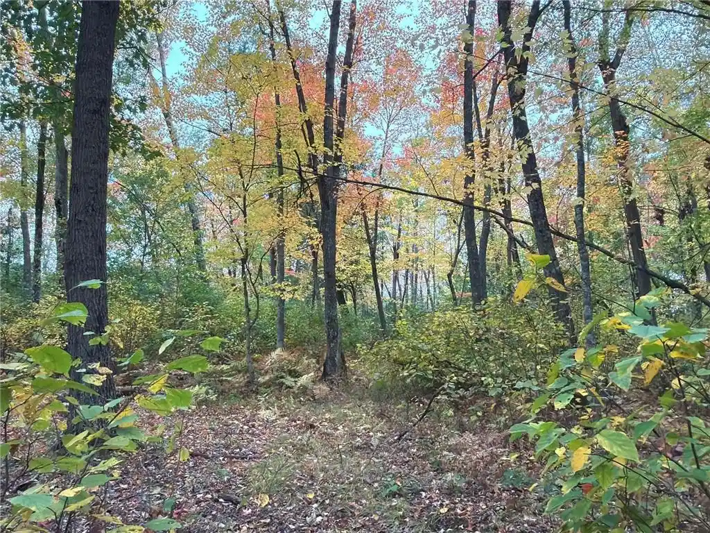 Photo 2 of Land for sale at 0 Klarquist Rd, Webster, WI 54840 | MLS# 7153280 | Listing updated on 2026-09-30