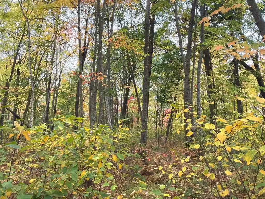 Photo 3 of Land for sale at 0 Klarquist Rd, Webster, WI 54840 | MLS# 7153280 | Listing updated on 2026-09-30