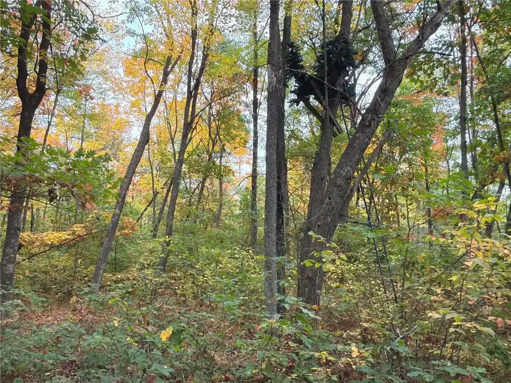 Photo 3 of Land for sale at 0 Klarquist Rd, Webster, WI 54840 | MLS# 7153280 | Listing updated on 2026-09-30