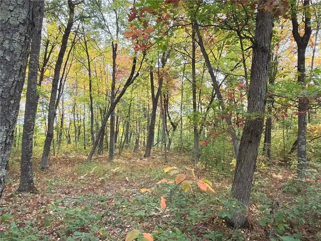 Photo 4 of Land for sale at 0 Klarquist Rd, Webster, WI 54840 | MLS# 7153280 | Listing updated on 2026-09-30