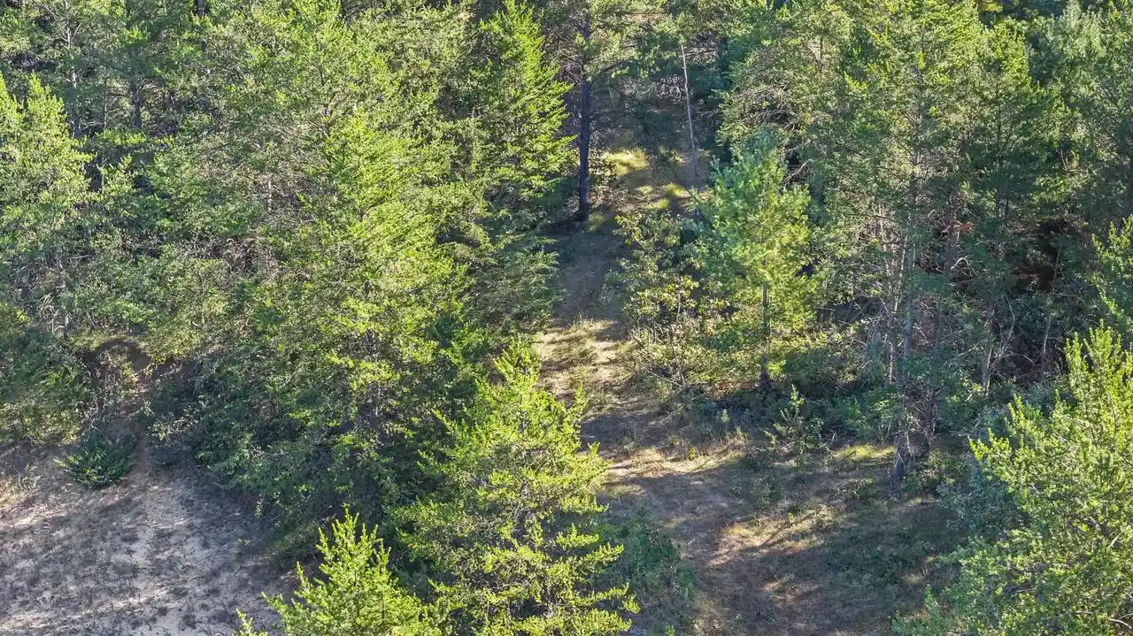 Photo 3 of Land for sale at 219 Ac State Rd 82 Acres, Oxford, WI 53952 | MLS# 2033771 | Listing updated on 2026-10-01