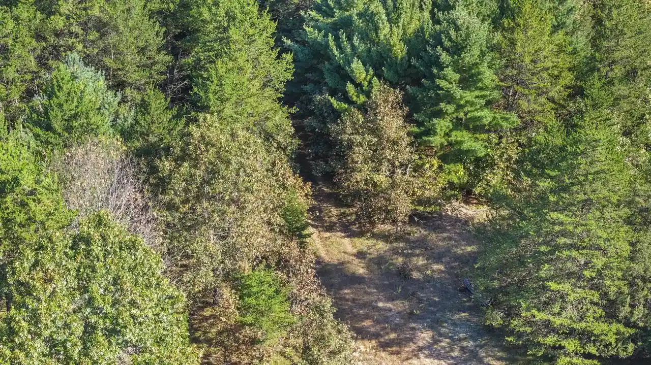 Photo 3 of Land for sale at 219 Ac State Rd 82 Acres, Oxford, WI 53952 | MLS# 2033771 | Listing updated on 2026-10-01