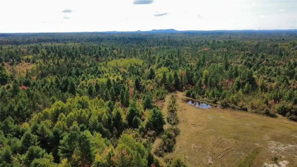 Photo 3 of Land for sale at W4199 Ballard Rd, Neillsville, WI 54456 | MLS# 1605652 | Listing updated on 2026-10-01