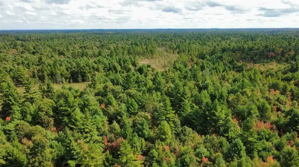 Photo 4 of Land for sale at W4199 Ballard Rd, Neillsville, WI 54456 | MLS# 1605652 | Listing updated on 2026-10-01