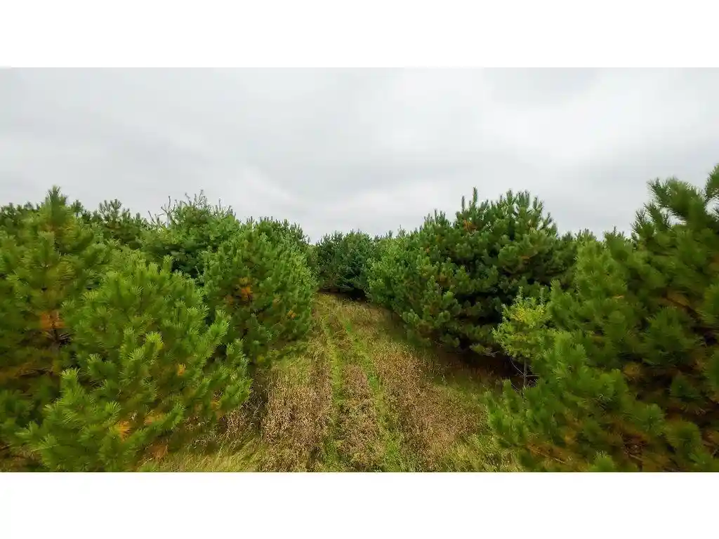 Photo 2 of Land for sale at County Line Ave Tbd, Clear Lake, WI 54005 | MLS# 7152574 | Listing updated on 2026-10-01
