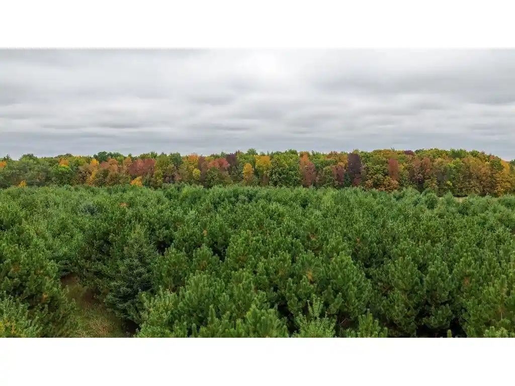 Photo 4 of Land for sale at County Line Ave Tbd, Clear Lake, WI 54005 | MLS# 7152574 | Listing updated on 2026-10-01