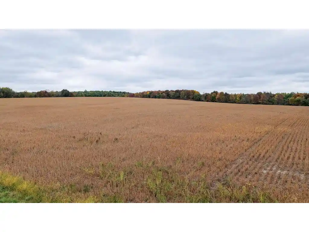 Photo 3 of Land for sale at Tbd County Line Ave, Clear Lake, WI 54005 | MLS# 7152573 | Listing updated on 2026-10-01