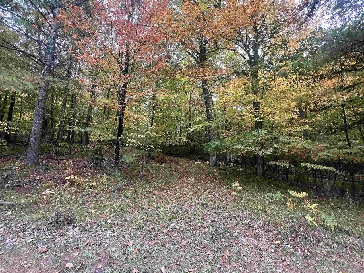 Photo 1 of Sale Pending at N17031 Roth Ln, Pembine, WI 54156 | MLS# 50333583 | Listing updated on 2026-10-06