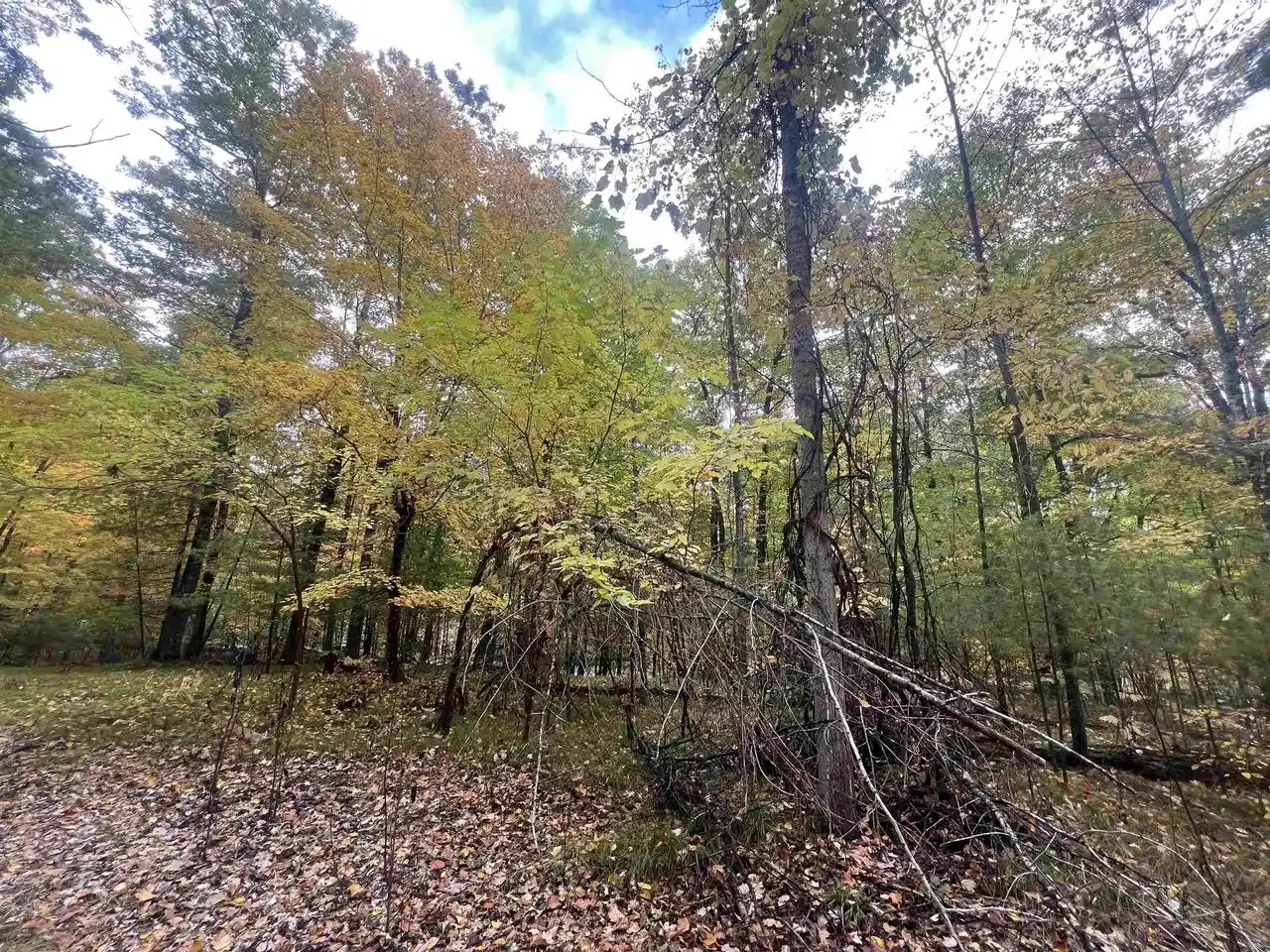 Photo 2 of Sale Pending at N17031 Roth Ln, Pembine, WI 54156 | MLS# 50333583 | Listing updated on 2026-10-06