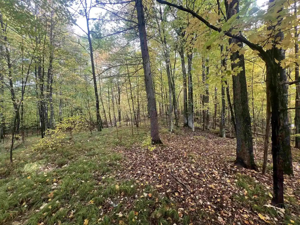Photo 3 of Sale Pending at N17031 Roth Ln, Pembine, WI 54156 | MLS# 50333583 | Listing updated on 2026-10-06