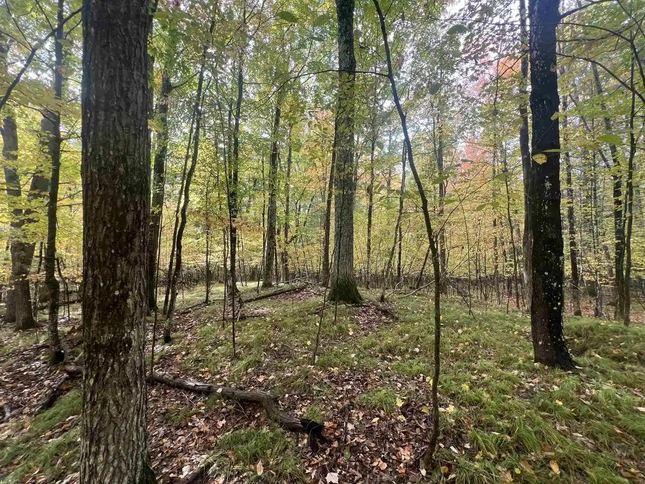Photo 4 of Sale Pending at N17031 Roth Ln, Pembine, WI 54156 | MLS# 50333583 | Listing updated on 2026-10-06