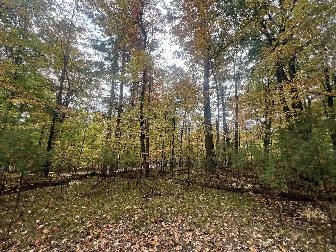 Photo 13 of Sale Pending at N17031 Roth Ln, Pembine, WI 54156 | MLS# 50333583 | Listing updated on 2026-10-06