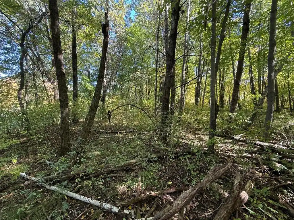 Photo 2 of Land for sale at Tbd 90th Avenue, Amery, WI 54001 | MLS# 7149460 | Listing updated on 2026-10-03